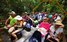 Greenway Nature Tours3101