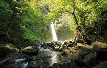 Greenway Nature Tours3111