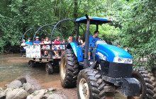 Greenway Nature Tours3125