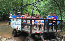 Greenway Nature Tours3127