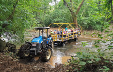 Greenway Nature Tours3130