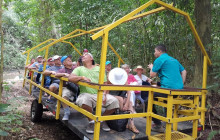 Greenway Nature Tours3131