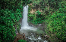 Greenway Nature Tours3141