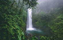 Greenway Nature Tours3143