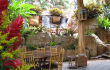 Greenway Nature Tours3147