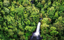 Greenway Nature Tours3152