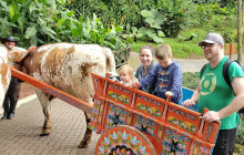 Greenway Nature Tours3154
