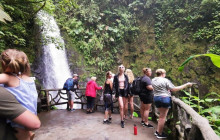 Greenway Nature Tours3157