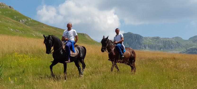 Podgorica to Durmitor National Park & Tara Canyon Scenic Day Trip