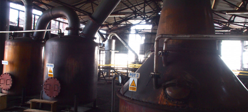 Hampden Estate Rum Tour and Lunch from Montego Bay