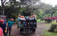 Greenway Nature Tours3202