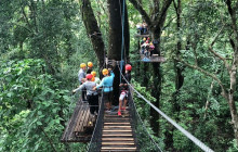 Greenway Nature Tours3207