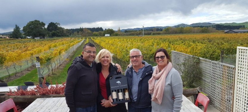 Half Day Martinborough Winery Small Group Tour from Wellington