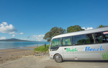 Bush and Beach8