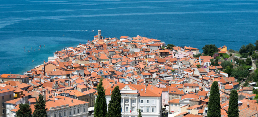 Panoramic tour to Piran and wine tasting in Koper