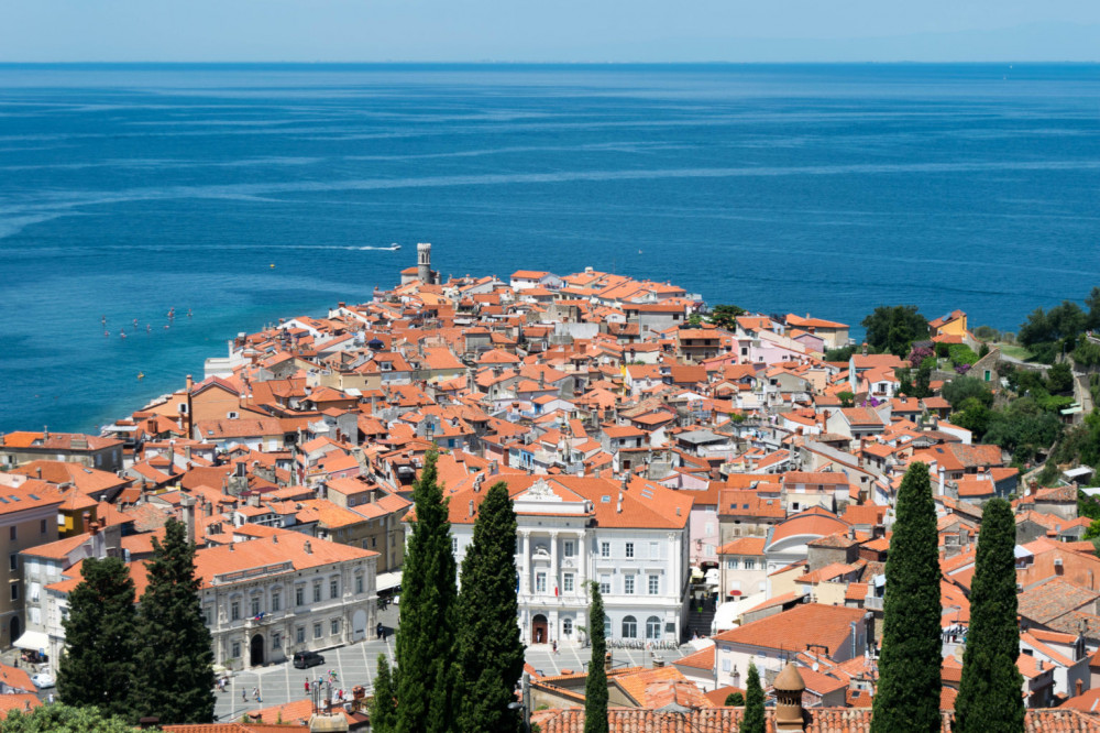 Panoramic tour to Piran and wine tasting in Koper