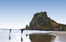 Bush and Beach12