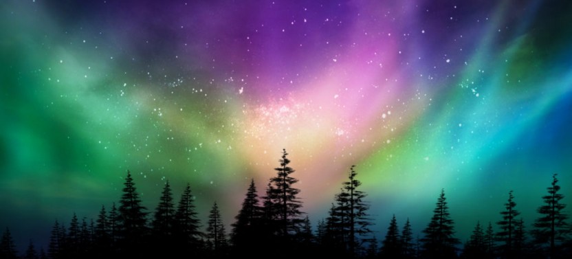 Northern Lights & Arctic Circle Tour