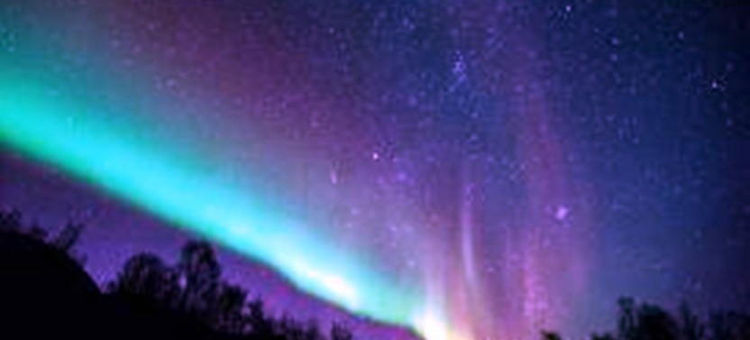 Northern Lights & Chena Hot Springs Tour