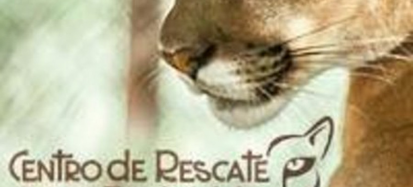 Animal Sanctuary and Waterfalls Tour