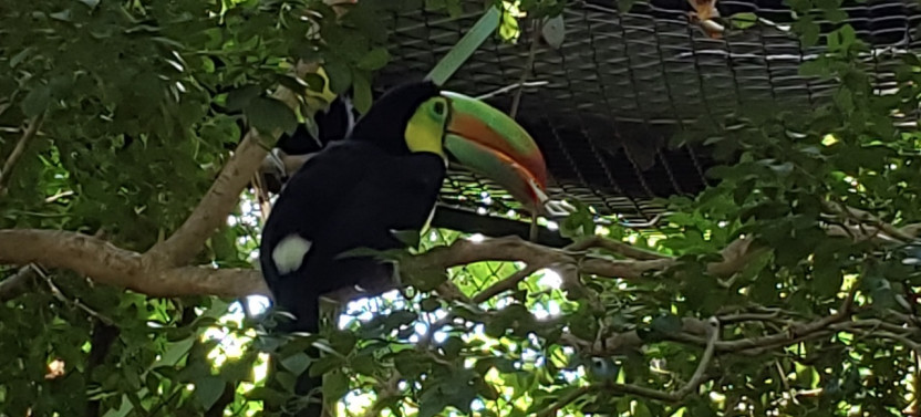 Animal Sanctuary and Waterfalls Tour