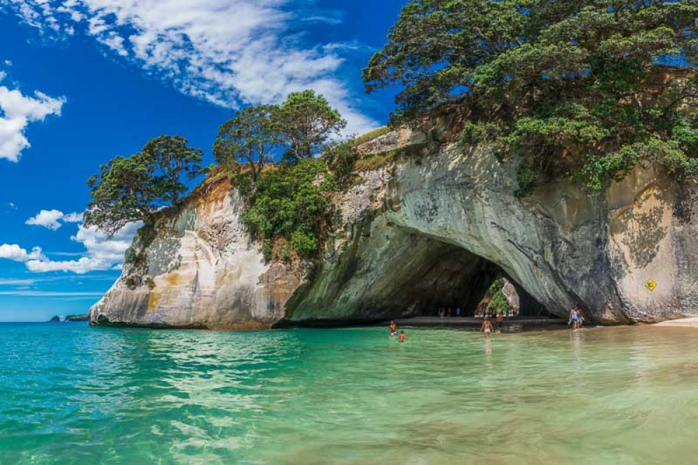 Private Coromandel Day Tour Auckland Project Expedition