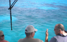 Key Largo Marine Tours4