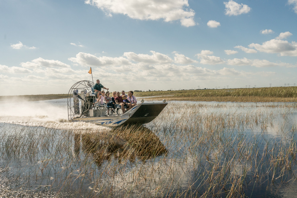 Private Airboat Adventure plus Wildlife Exhibits