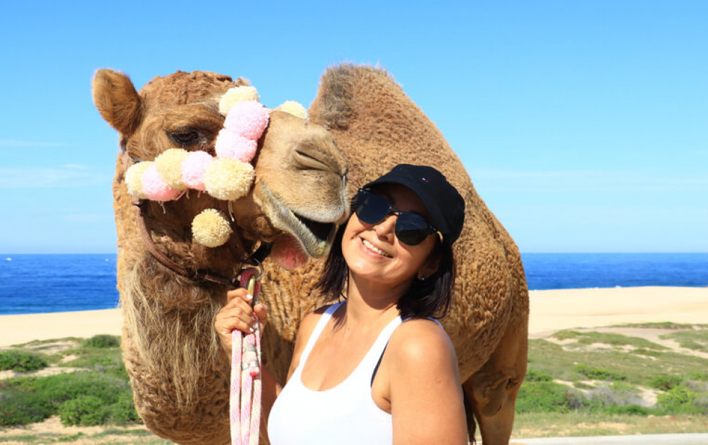 Los Cabos Camel Tour - Cabo San Lucas | Project Expedition