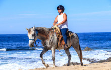 Los Cabos Horseback Riding Tour