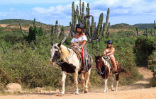 Los Cabos Horseback Riding Tour