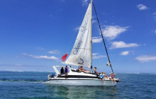 Exclusive All-In-1 Catamaran Day Sail