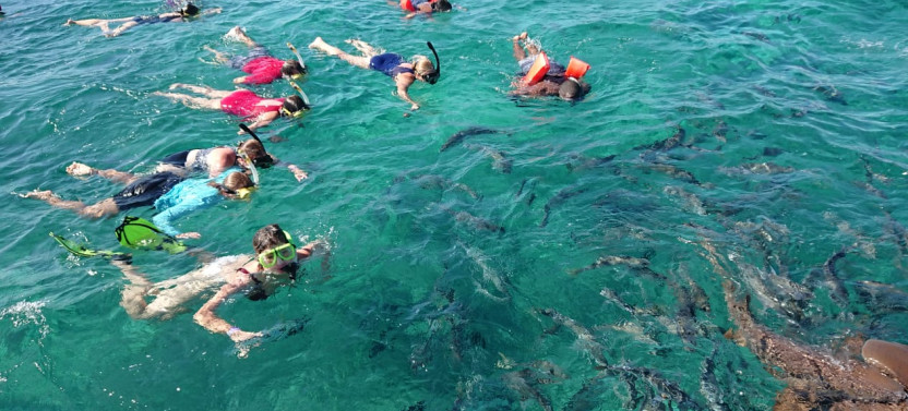 Semi-Private Exclusive All-in-One Full Day Catamaran Tour