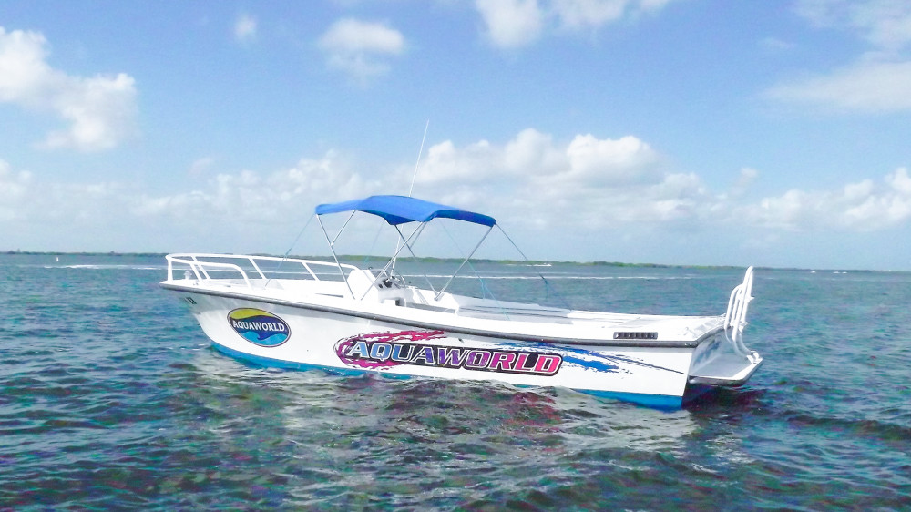 Do It All Personal Private Boat (Nichupté Lagoon Side)