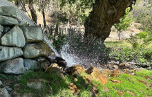 Wine Tours of Sedona21