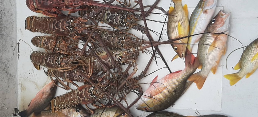 Fishing, Snorkeling & Beach BBQ