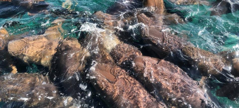 Snorkeling Holchan and Shark Ray Alley.