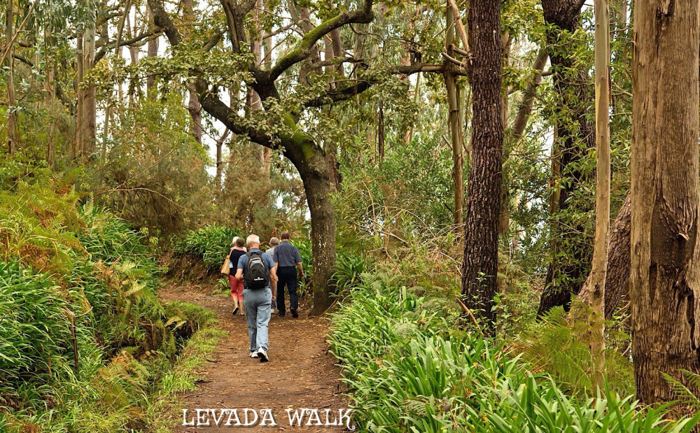 Madeira Mountain Expeditions Project Expedition