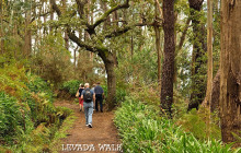 Madeira Mountain Expeditions5