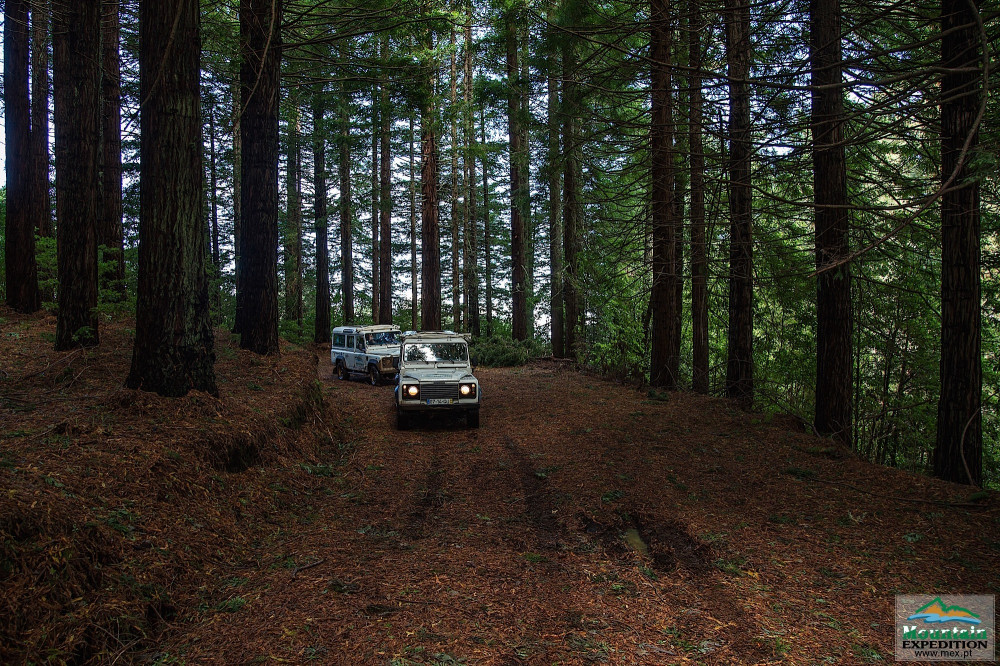 Madeira Mountain Expeditions Project Expedition