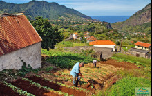 Madeira Mountain Expeditions5