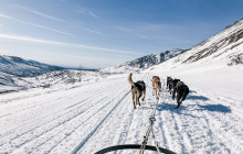 Alaskan Husky Adventures2