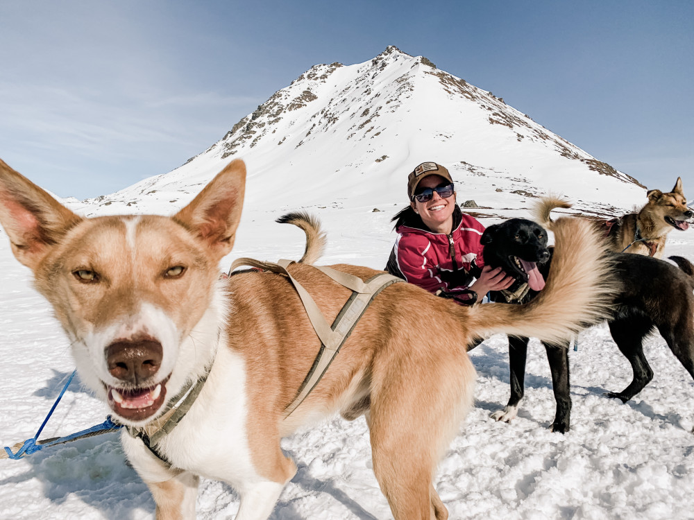 Mountain Dog Mushing Adventure Willow Project Expedition