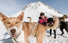 Alaskan Husky Adventures3