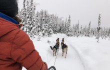 Alaskan Husky Adventures2