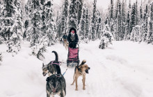 Alaskan Husky Adventures3