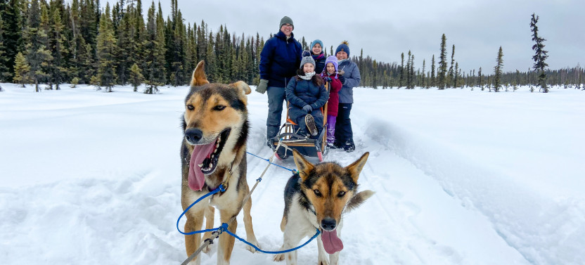 Traditional Dog Sled Ride
