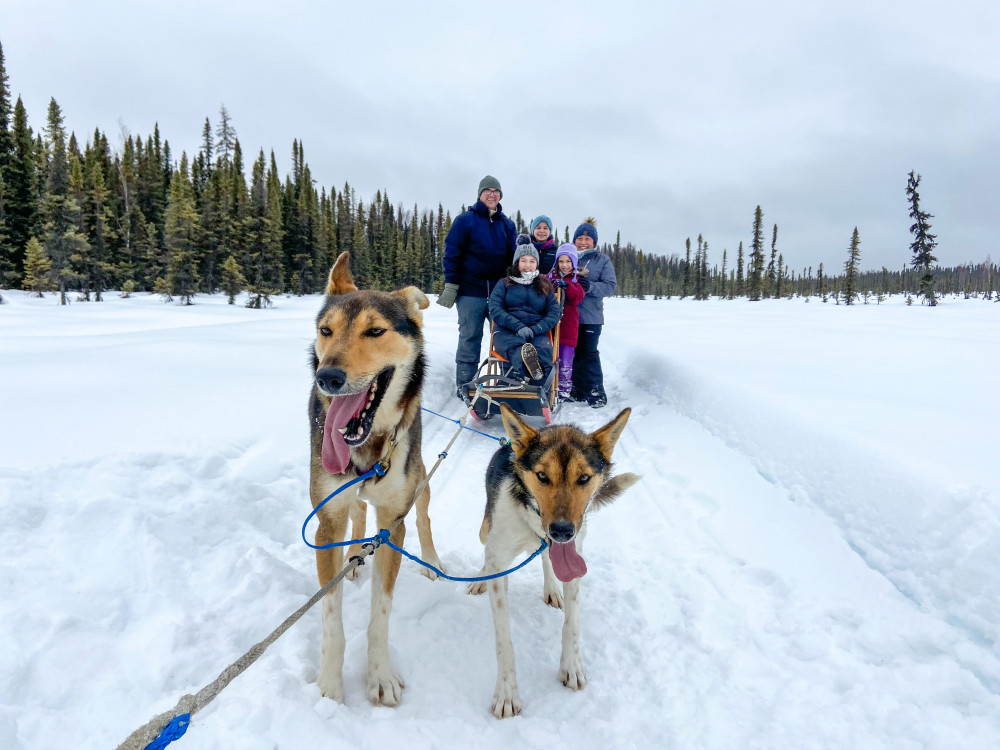 Traditional Dog Sled Ride