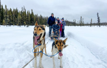 Alaskan Husky Adventures1