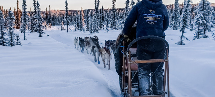 Traditional Dog Sled Ride
